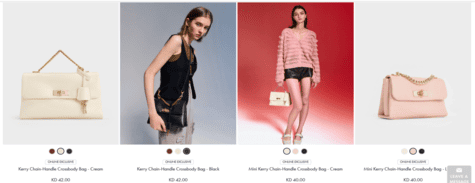 Bags Charles & Keith