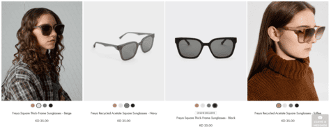 Sunglasses Charles & Keith